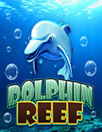 mafia500 เข้า สู่ ระบบสล็อต โดยตรง สัมผัสความสนุกทันใจ